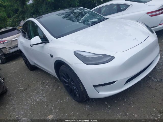 TESLA MODEL Y – zdjęcie z aukcji, lot #42303614