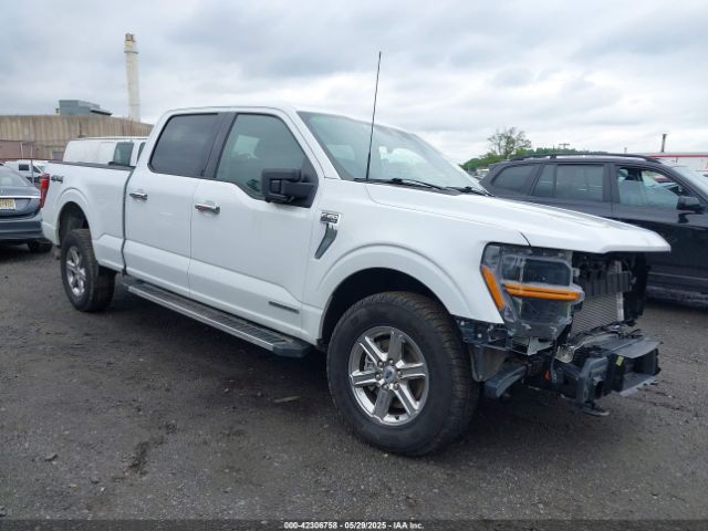 FORD F-150 – zdjęcie z aukcji, lot #42306758
