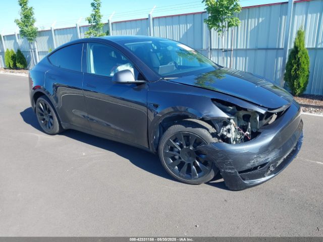 TESLA MODEL Y – zdjęcie z aukcji, lot #42331158
