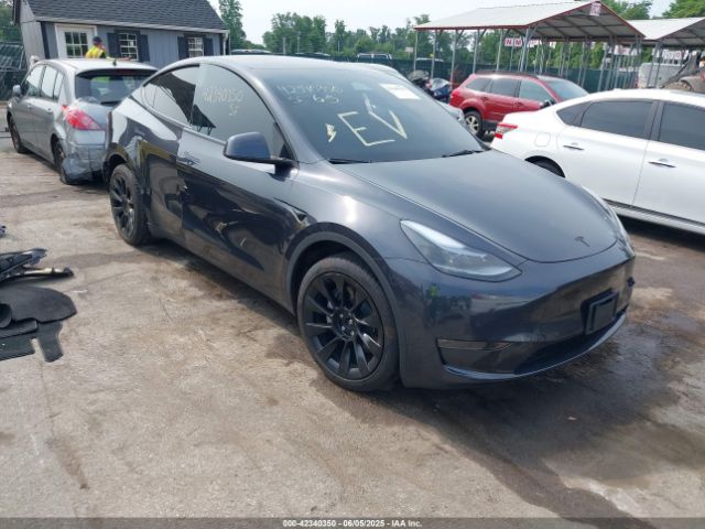 TESLA MODEL Y – zdjęcie z aukcji, lot #42340350