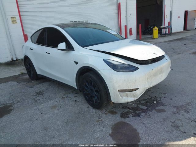 TESLA MODEL Y – zdjęcie z aukcji, lot #42357110