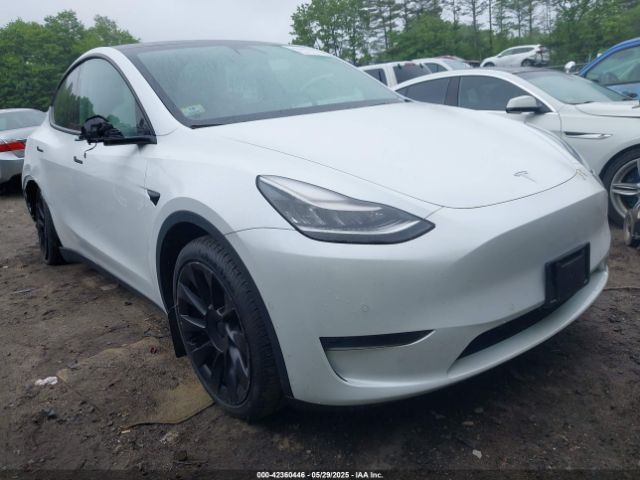 TESLA MODEL Y – zdjęcie z aukcji, lot #42360446