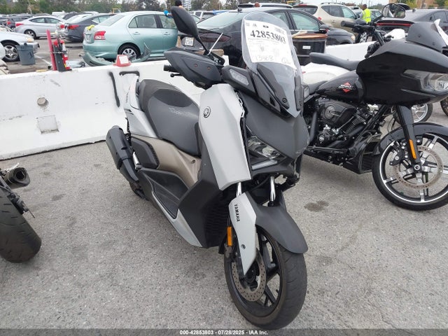 2023 YAMAHA CZD300 A