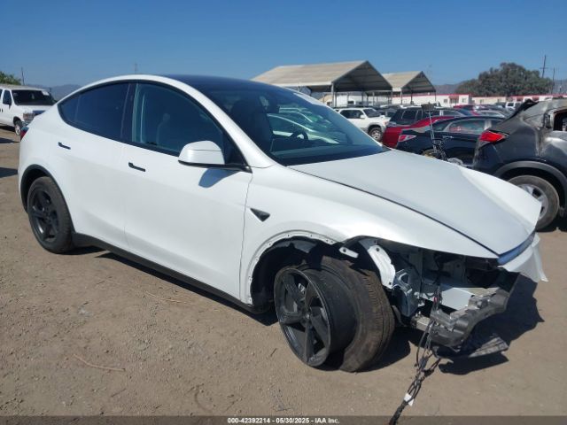 TESLA MODEL Y – zdjęcie z aukcji, lot #42392214