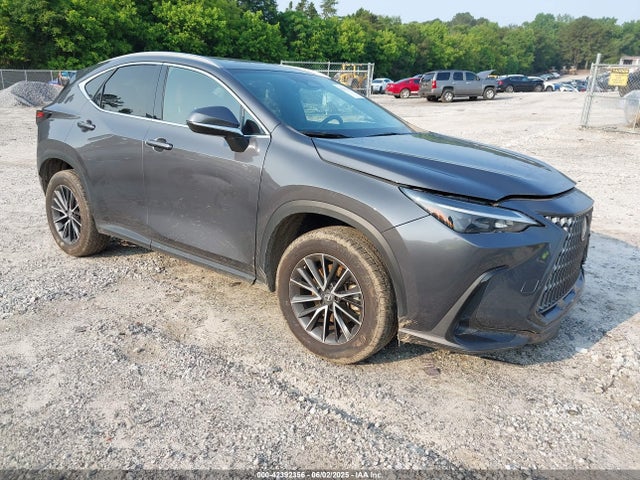 2024 LEXUS NX 