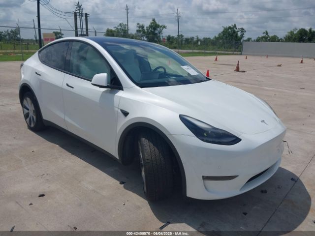 TESLA MODEL Y – zdjęcie z aukcji, lot #42400570