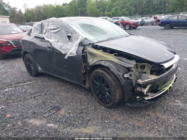 TESLA MODEL Y – zdjęcie z aukcji, lot #42401953