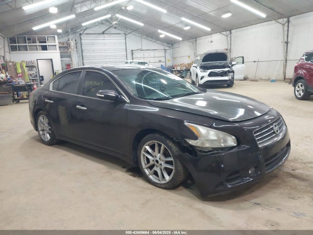 2010 NISSAN MAXIMA 3.5 SV