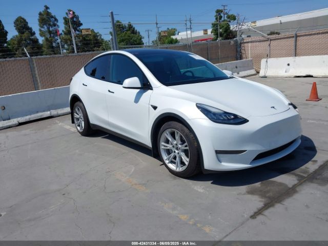 TESLA MODEL Y – zdjęcie z aukcji, lot #42431334