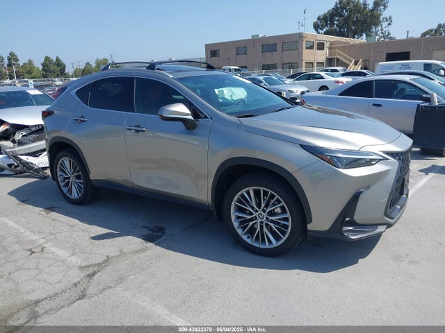2025 LEXUS NX PREMIUM