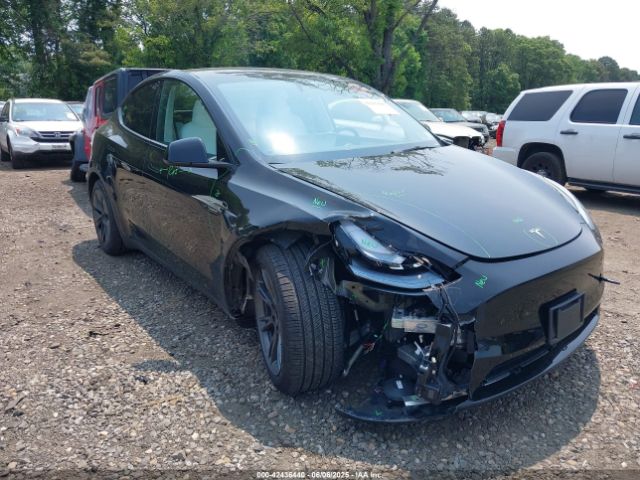 TESLA MODEL Y – zdjęcie z aukcji, lot #42436440