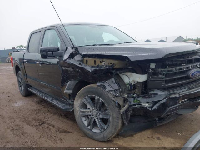 FORD F-150 – zdjęcie z aukcji, lot #42440509