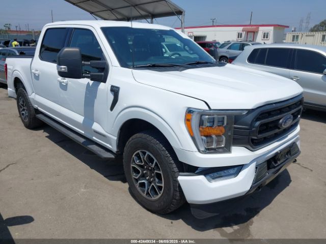 FORD F-150 – zdjęcie z aukcji, lot #42449334