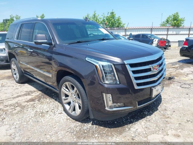 CADILLAC ESCALADE – zdjęcie z aukcji, lot #42453288
