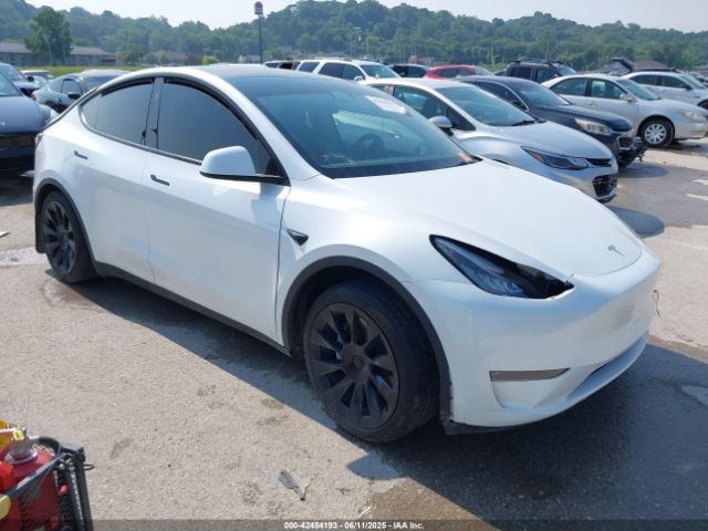 TESLA MODEL Y – zdjęcie z aukcji, lot #42454193