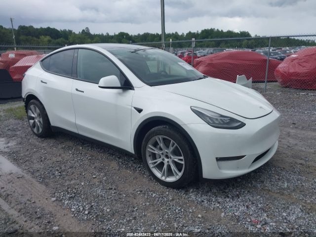 TESLA MODEL Y – zdjęcie z aukcji, lot #42482423