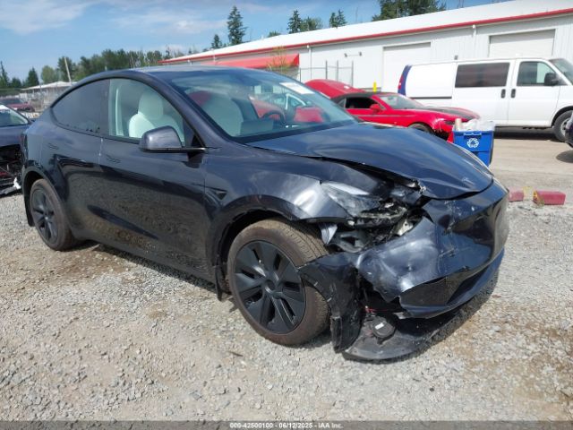 TESLA MODEL Y – zdjęcie z aukcji, lot #42500100