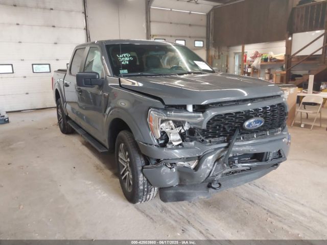 FORD F-150 – zdjęcie z aukcji, lot #42503980