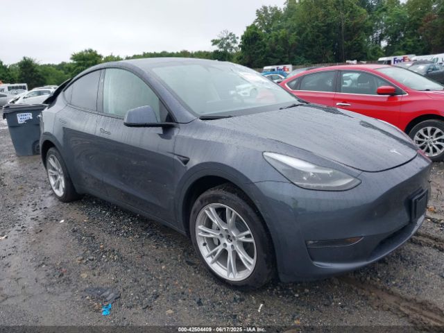TESLA MODEL Y – zdjęcie z aukcji, lot #42504409