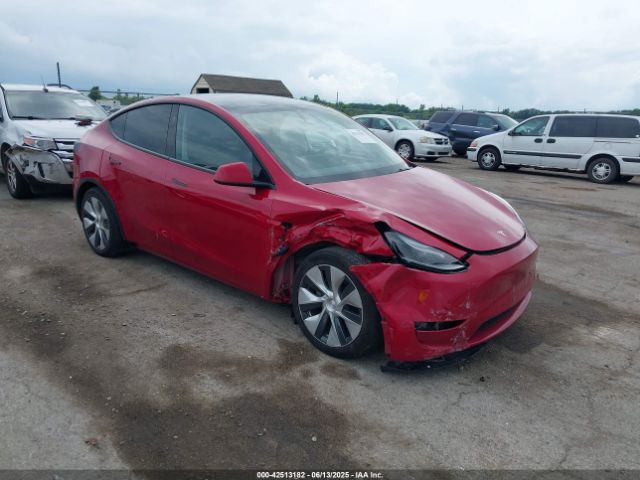 TESLA MODEL Y – zdjęcie z aukcji, lot #42513182
