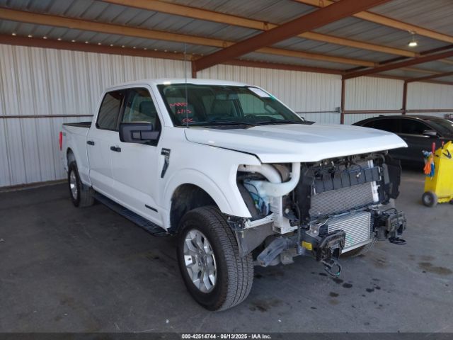 FORD F-150 – zdjęcie z aukcji, lot #42514744