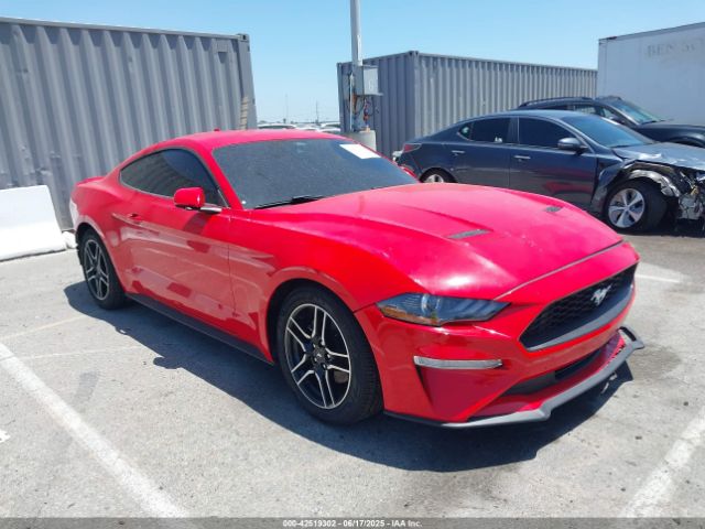 FORD MUSTANG – zdjęcie z aukcji, lot #42519302