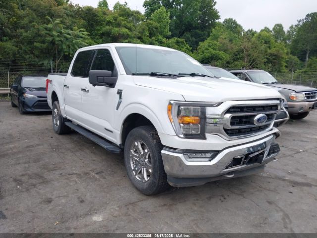 FORD F-150 – zdjęcie z aukcji, lot #42523385