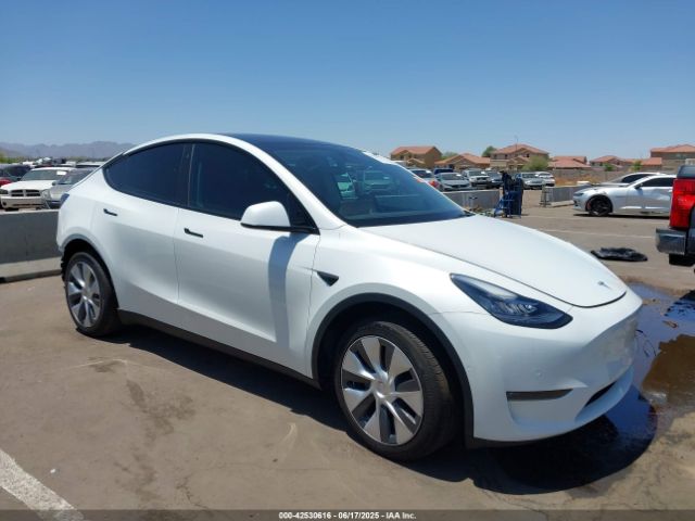 TESLA MODEL Y – zdjęcie z aukcji, lot #42530616