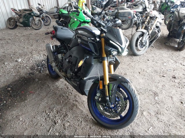 2025 YAMAHA MTN1000 D