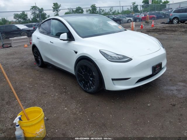 TESLA MODEL Y – zdjęcie z aukcji, lot #42536688