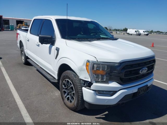 FORD F-150 – zdjęcie z aukcji, lot #42539016