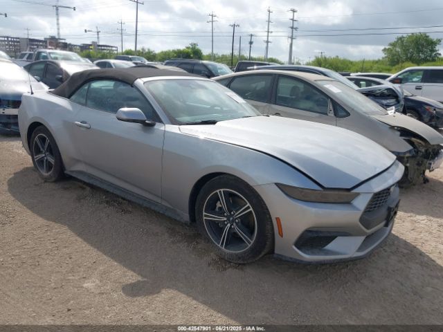 FORD MUSTANG – zdjęcie z aukcji, lot #42547901