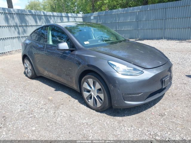 TESLA MODEL Y – zdjęcie z aukcji, lot #42550058