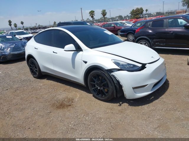 TESLA MODEL Y – zdjęcie z aukcji, lot #42550803