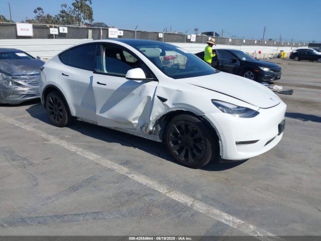 TESLA MODEL Y – zdjęcie z aukcji, lot #42554944