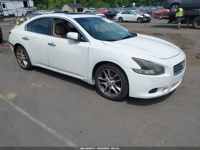 2010 NISSAN MAXIMA 3.5 SV