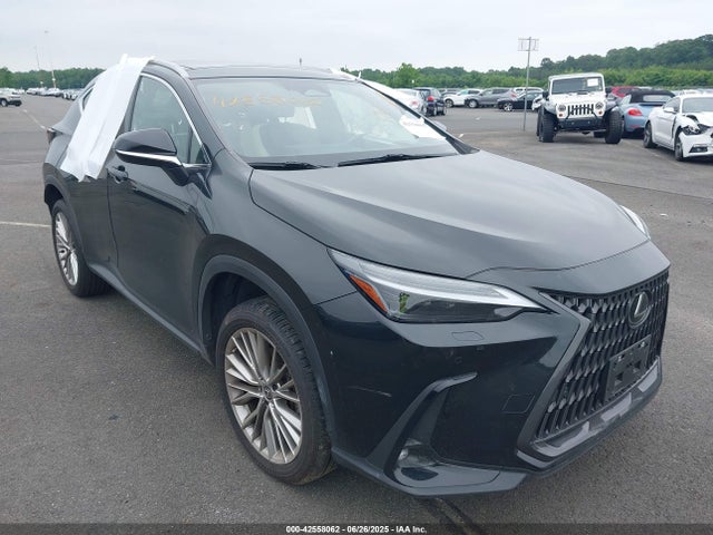 2022 LEXUS NX LUXURY