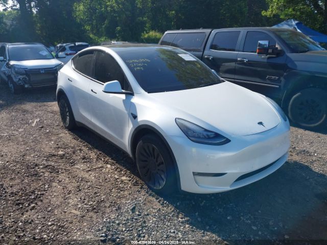 TESLA MODEL Y – zdjęcie z aukcji, lot #42563536