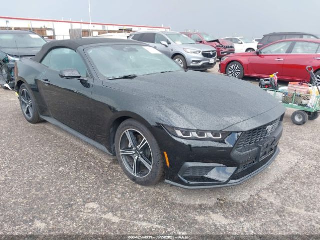 FORD MUSTANG – zdjęcie z aukcji, lot #42564939