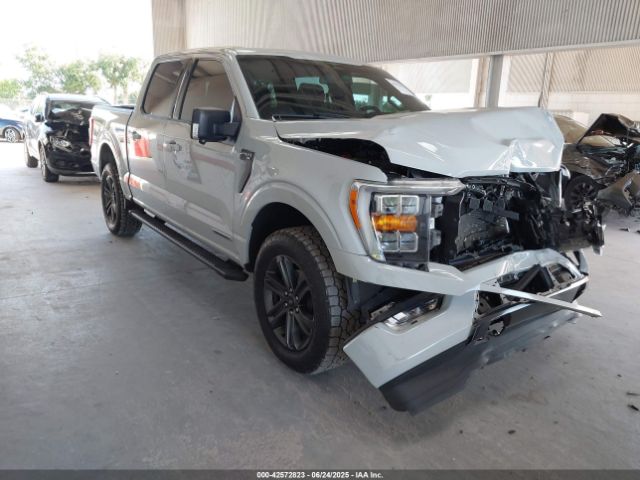 FORD F150 – zdjęcie z aukcji, lot #42572823