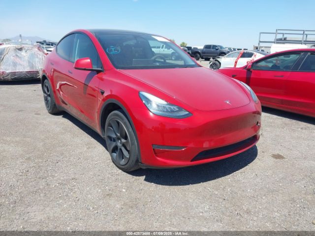 TESLA MODEL Y – zdjęcie z aukcji, lot #42573488