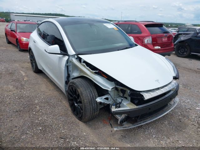 TESLA MODEL Y – zdjęcie z aukcji, lot #42579047