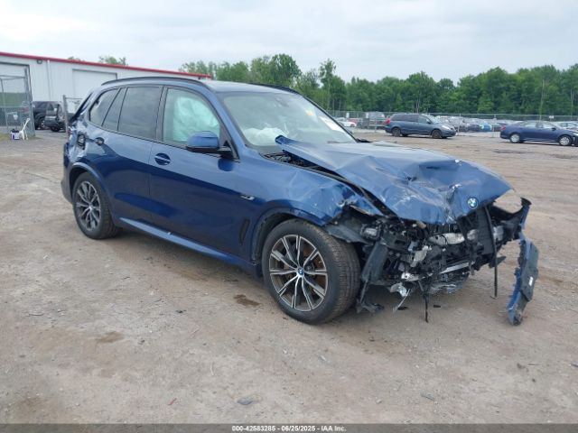 BMW X5 PHEV – zdjęcie z aukcji, lot #42583285