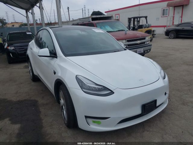 TESLA MODEL Y – zdjęcie z aukcji, lot #42584188
