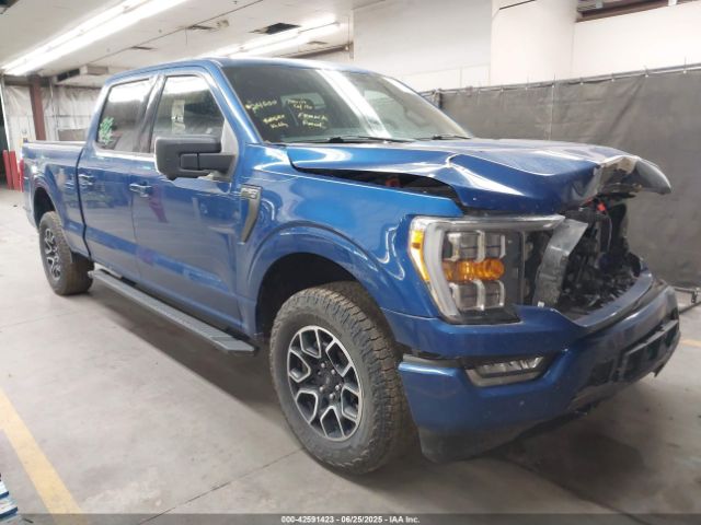 FORD F-150 – zdjęcie z aukcji, lot #42591423