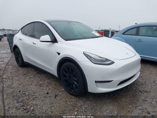 TESLA MODEL Y – zdjęcie z aukcji, lot #42591989