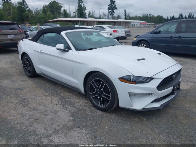 FORD MUSTANG – zdjęcie z aukcji, lot #42593858