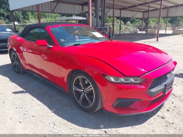 FORD MUSTANG – zdjęcie z aukcji, lot #42618860