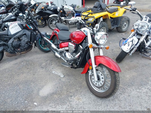 2024 SUZUKI VL800 M/TM