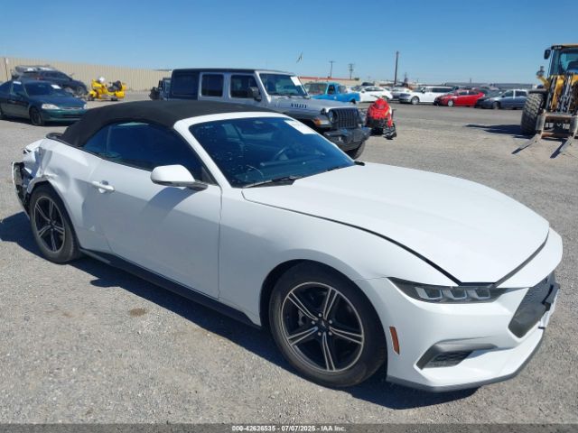 FORD MUSTANG – zdjęcie z aukcji, lot #42626535